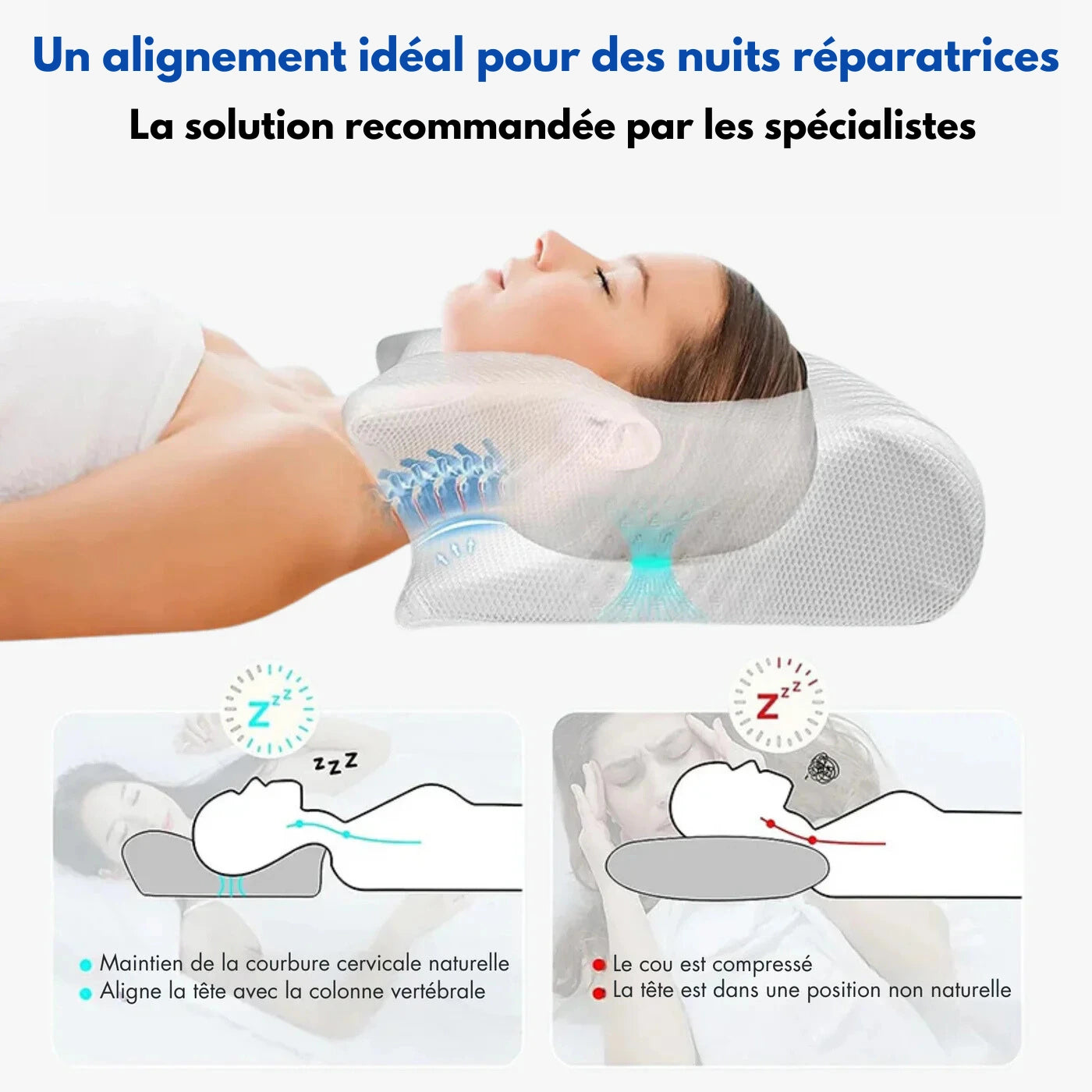 Oreiller orthopédique Gamaneo®